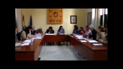 PLENO ORDINARIO 28 DE ABRIL DE 2016