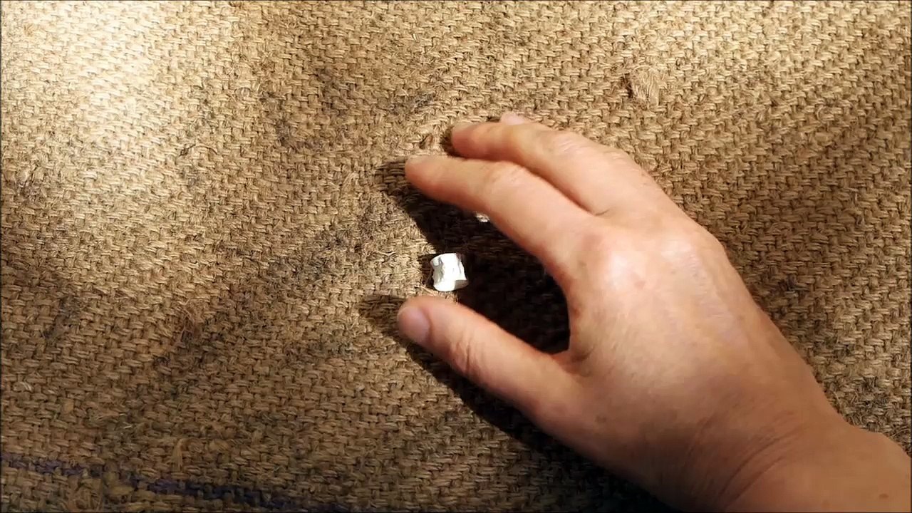 "Alea Jacta Est" / Haïku n°1  by Agata Kawa