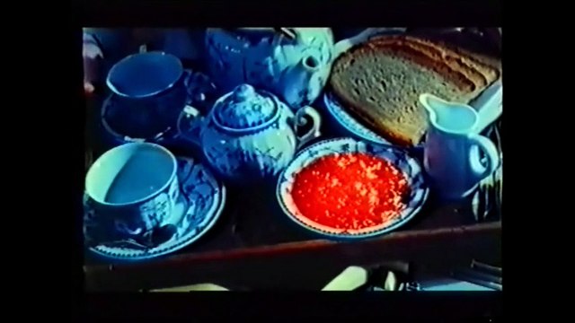 Malina (Part 1) - Werner Schroeter (Germany/Austria, 1991, FRENCH - GERMAN/SUB-ENG)