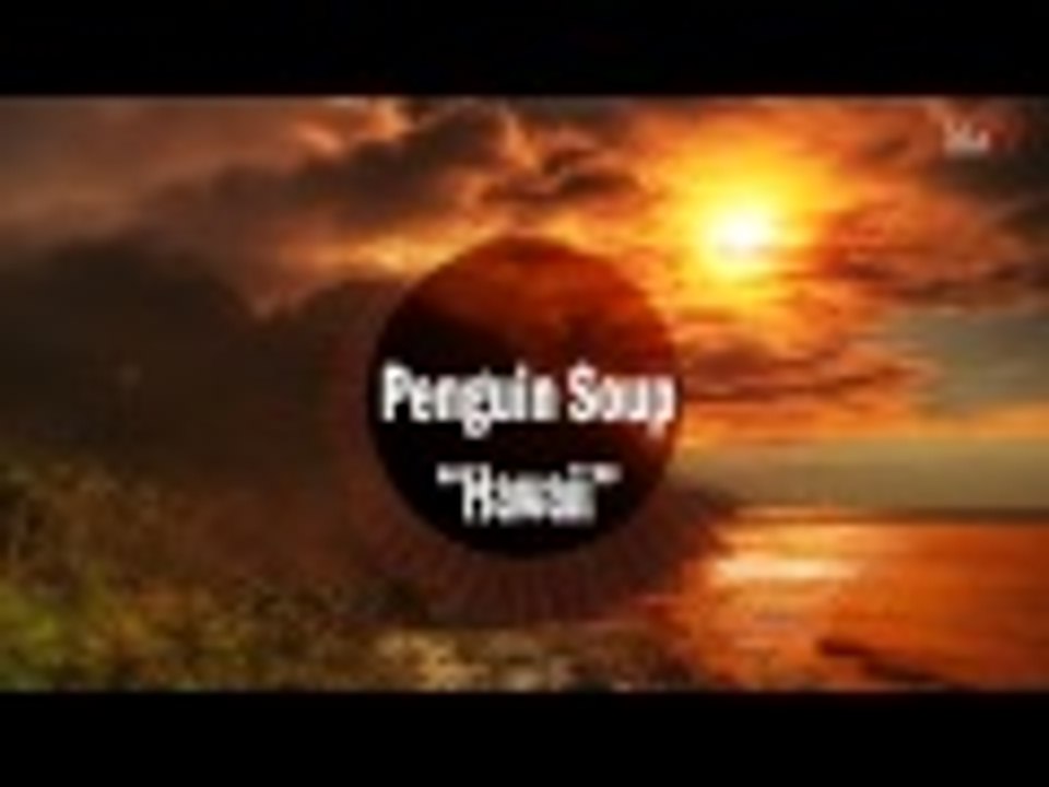 Royalty free music - penguin soup - hawaii