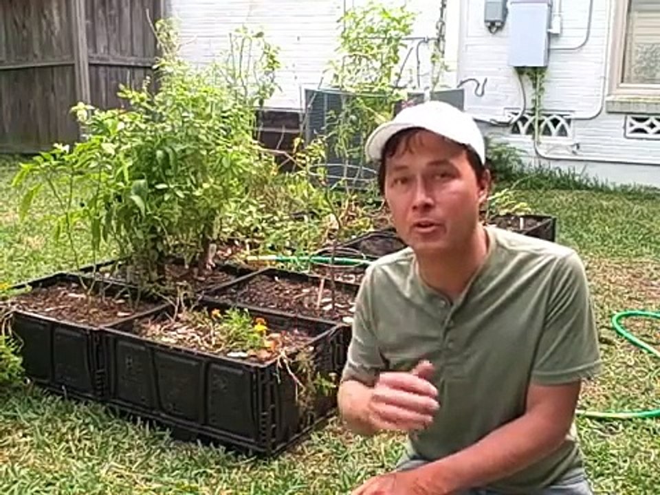 Easy to Install Irrigation System for Raised Bed Gardens that Beats Drip Irrigation