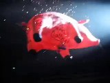 Roger Waters Pig sequence - Sydney 25 Jan 2007