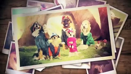 Gravity Paws Theme Song Revealed: Forward & Backward Versions 🎶