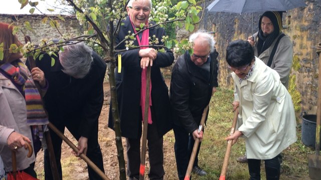 Les premiers arbres sont plantés