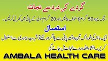Kidney Pain Treatment In Urdu _ Gurde Ki Dard Aur Takleef Ka Ilaj