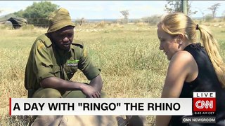 A day with Ringo- the rhino