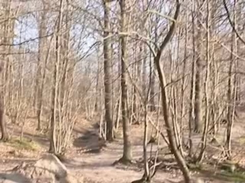 PROGRESSION vtt cagette dh freeride