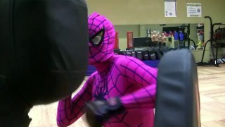 SPIDER GIRL -Taekwondo Kickboxing