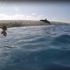 Un número acuático de altos vuelos