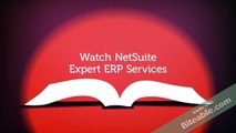 Netsuite Erp Consultant offshore services & ERP implementation Services