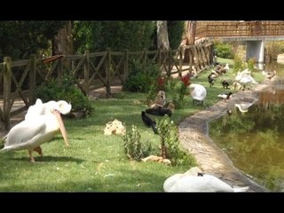 Napoli - Animali e Cultura, ricercatori francesi in visita allo Zoo (29.04.16)