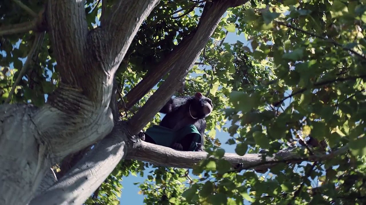 Steve Aoki & Felix Jaehn - Cant Go Home feat. Adam Lambert (Official Video)