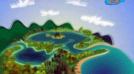 Дело птички киви