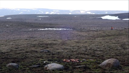 Henzo conduit par Enrico Marchetti, Le Limon Mars 2016