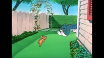 Tom and Jerry, 60 Episode - Slicked-up Pup (1951)