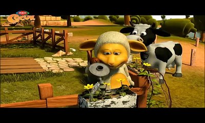 KUZUCUK / KIZGIN İNEK