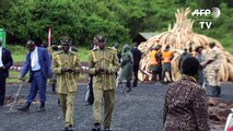 'No more ivory trade' say activists ahead of historic Kenya burn