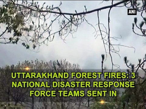 Uttarakhand forest fires: 3 National Disaster Response Force teams sent in