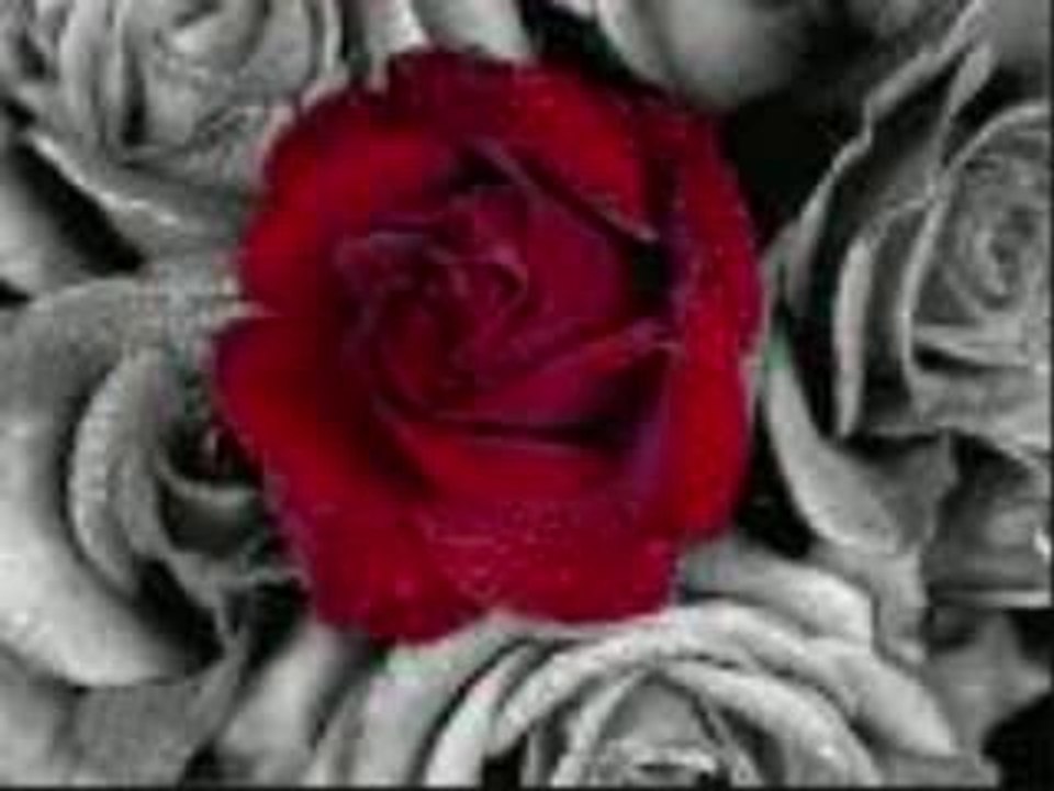 Gittigin o yollar seni birgun sonun olacak ben değil seni vefasız kara toprak saracak.