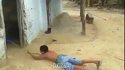 Greu este sa scoti acest animal din grajd.