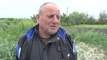 Bie çmimi,  fermerët e Myzeqesë hedhin qepen dhe preshin - Top Channel Albania - News - Lajme