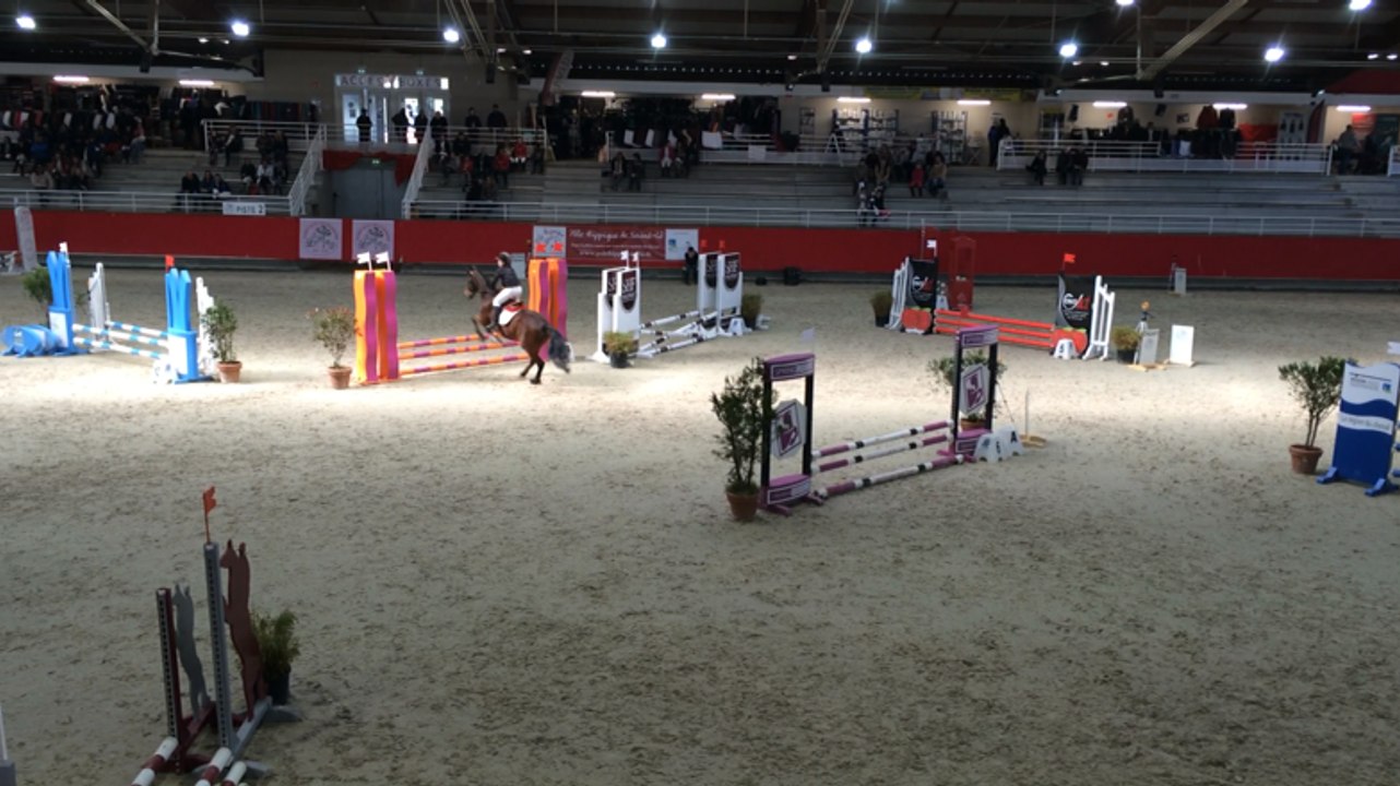 Les poneys en compétition à Poneys sous les pommiers