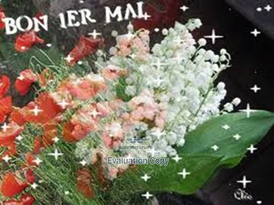 FETE DU 1 MLAI