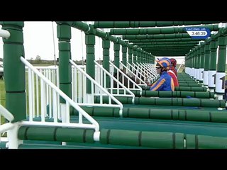 2000 GUINEAS STAKES, G1, NEWMARKET (UK), 2016-04-30