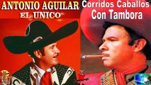 Antonio Aguilar 15 Corridos de  Caballos Antaño Mix