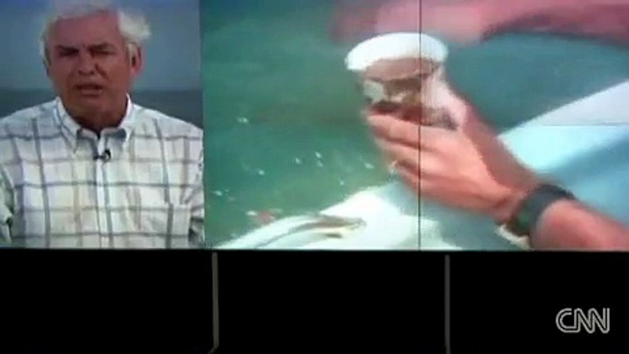 BP/Jaws Parody