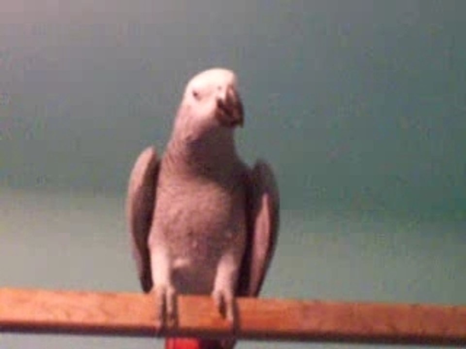 Video 25-06-07 005