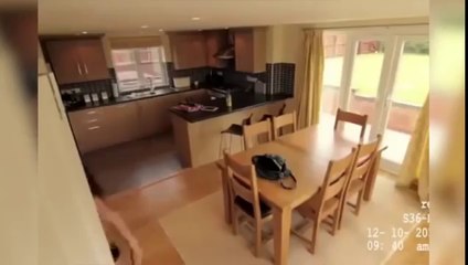 Une femme de ménage fait une petite surprise à son patron
