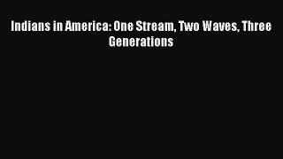 Read Indians in America: One Stream Two Waves Three Generations Ebook Online
