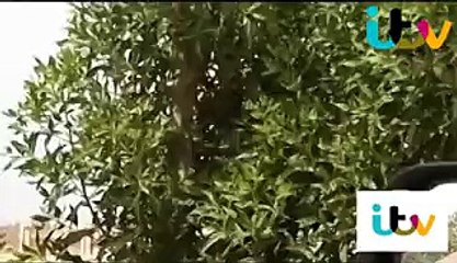 Saudi Arabia executes 5 men on a crane