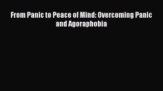 Download From Panic to Peace of Mind: Overcoming Panic and Agoraphobia PDF Free