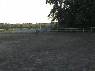 Galop a cru