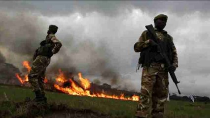 Declaran la guerra a los furtivos con la quema de 105 toneladas de marfil en Kenia