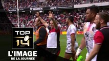 TOP 14 – La joie des Toulousains après leur exploit contre Toulon – Saison 2015-2016
