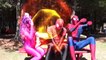 Pink Spidergirl Gets Rainbow Hair! w- Spiderman Arrested, Frozen Elsa & Joker!  Funny Superheroes )