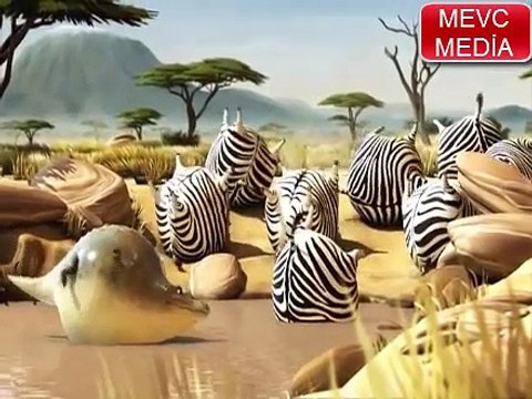 ŞİŞMAN VAHŞİ HAYVANLAR VE KOMİK KUŞLAR