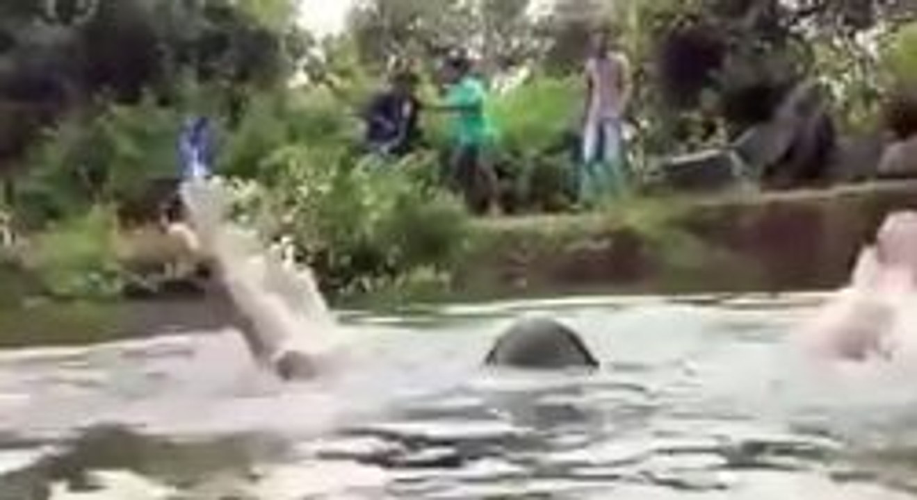 Ha Ha Ha See What Happened In this Video-Funny Videos-Whatsapp Videos-Prank Videos-Funny Vines-Viral Video-Funny Fails-Funny Compilations-Just For Laughs