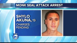 Man arrested in connection to monk seal attack on Kauai