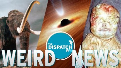 Mammoth Sex, Homemade Black Holes & Human Goats: The Dispatch #25