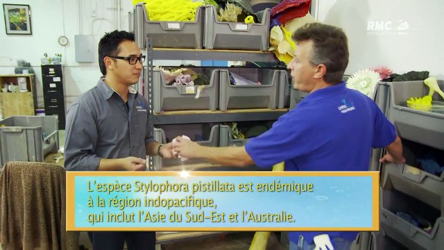 Aquamen les rois des aquariums un gros client