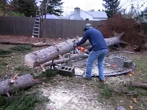 L’Uomo Taglia Un Albero Caduto, Quello Che Accade Dopo... Lo Farà Saltare In Aria!!!