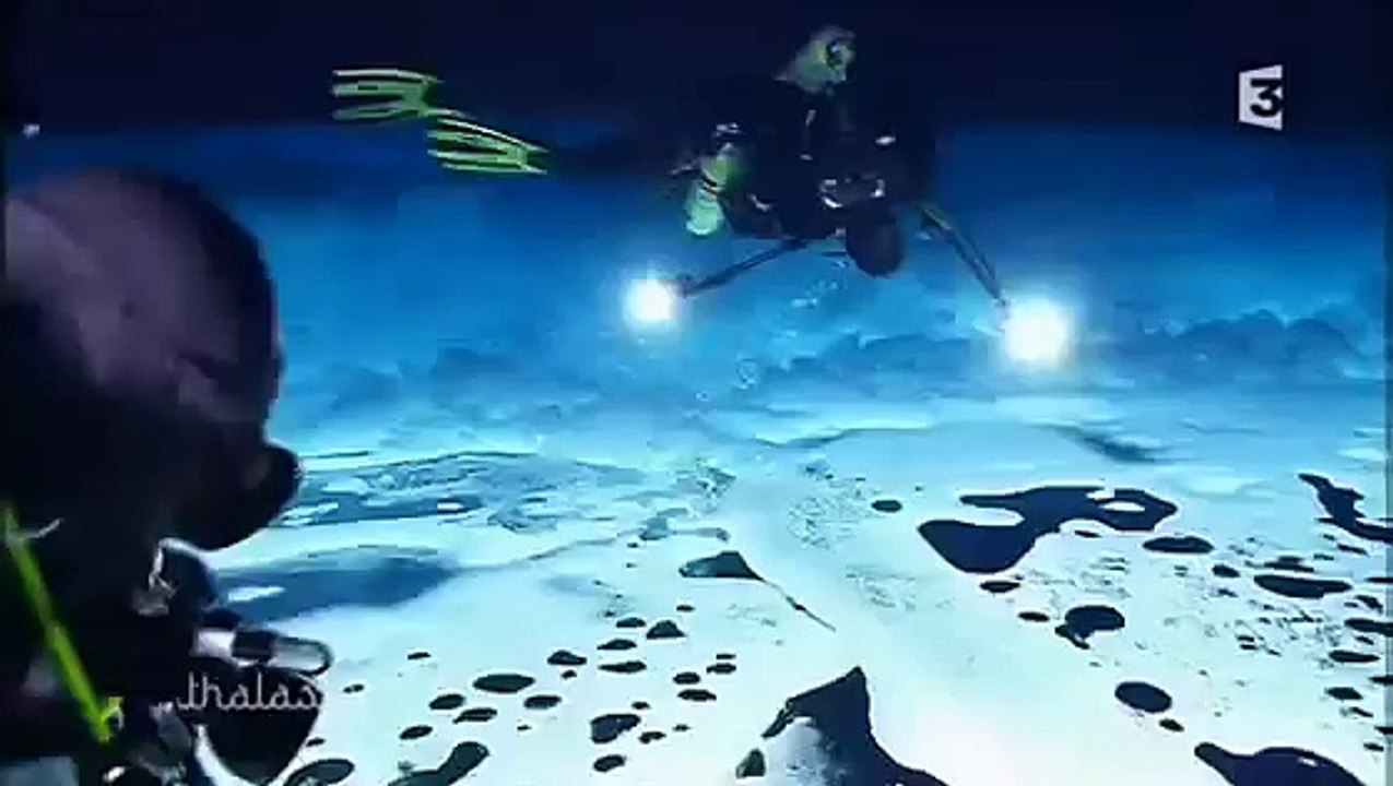 Plongée sous la banquise du pole nord !