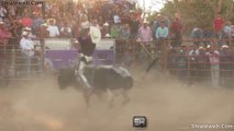 SUPER JARIPEO EXTREMO EN NAVARRETE CELEBRANDO LAS FIESTAS PATRONALES DEL PUEBLO UNA TRADICION DE MEXICO MAYO 2016