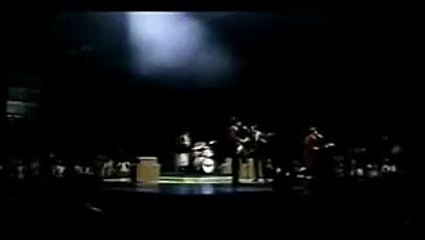 The Wonders - That Thing You Do!