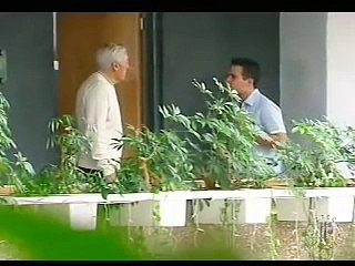 Telenovela La Heredera cap 69 completo