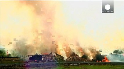 إحراق المئات من أطنان العاج في مدينة نيروبي في كينيا في محاولة لإيقاف الإتجار غير القانوني بأنياب الفيلة